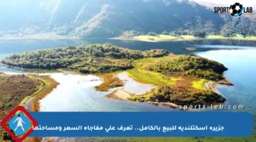 جزيرة اسكتلندية للبيع بالكامل.. تعرف على مفاجأة السعر ومساحتها